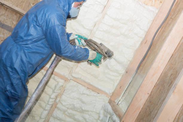 Best Basement Insulation  in Miller, SD